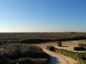 ISLE BE BACK South View