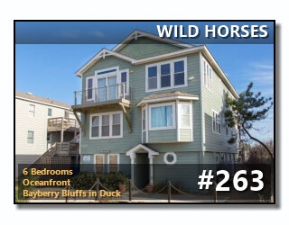 WILD HORSES Vacation Rental in DUCK photos