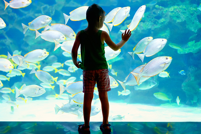 Rainy Day Activities on the Outer Banks