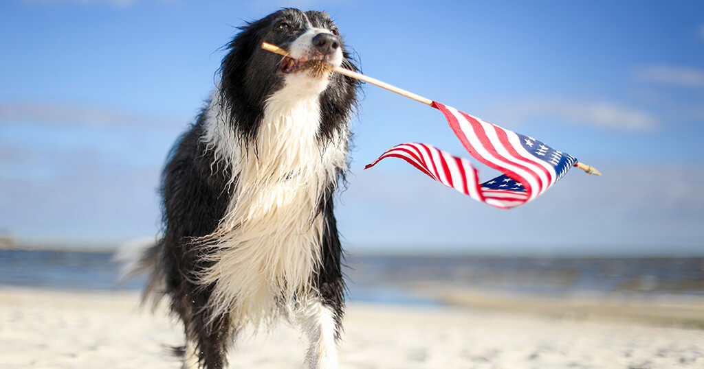 4th of July on the outer banks