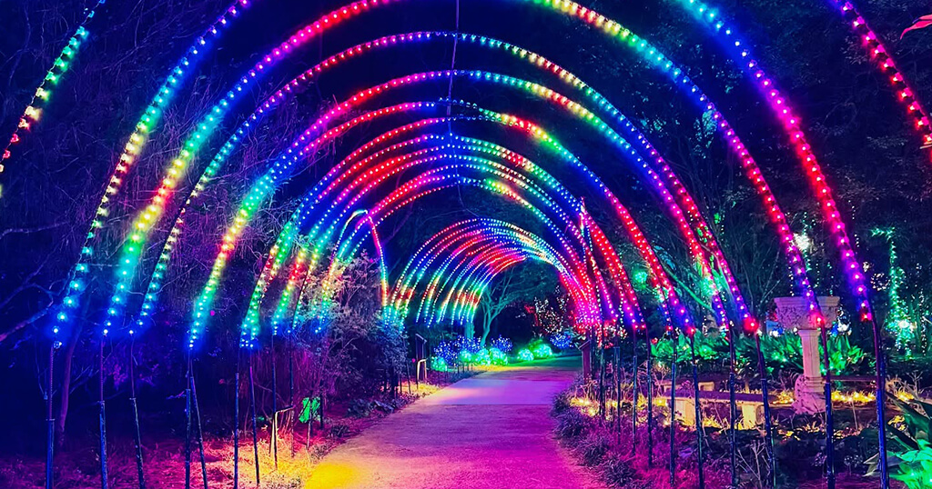 WinterLights on the OBX
