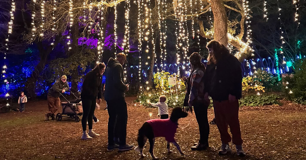 OBX WinterLights event